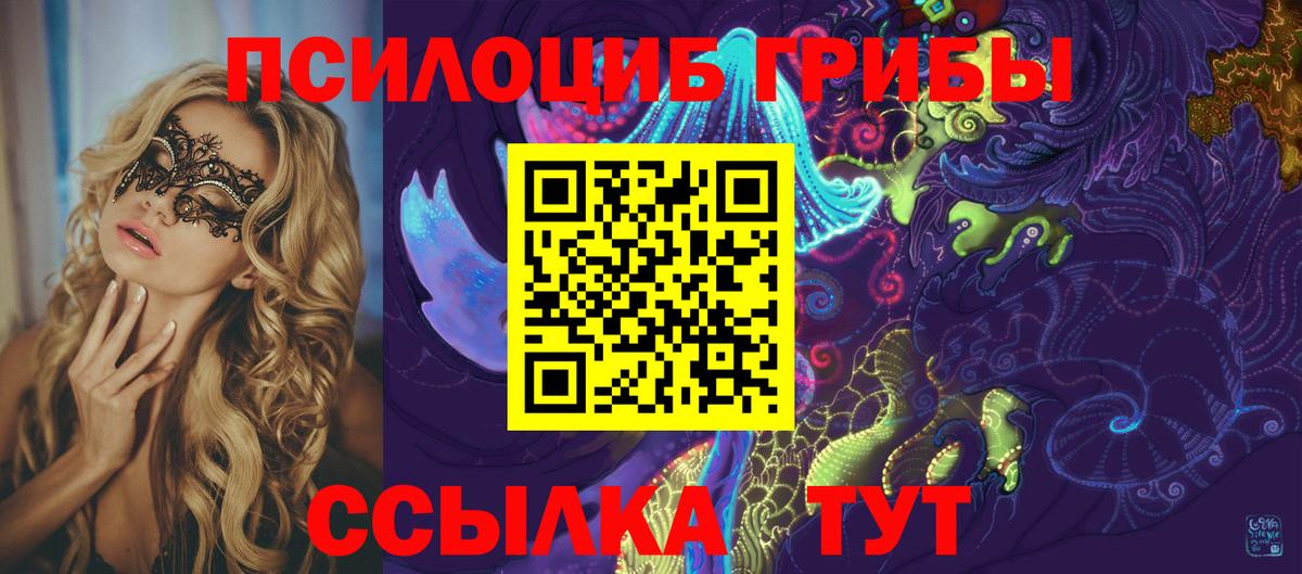 Галлюциногенные грибы мицелий Ростов Великий