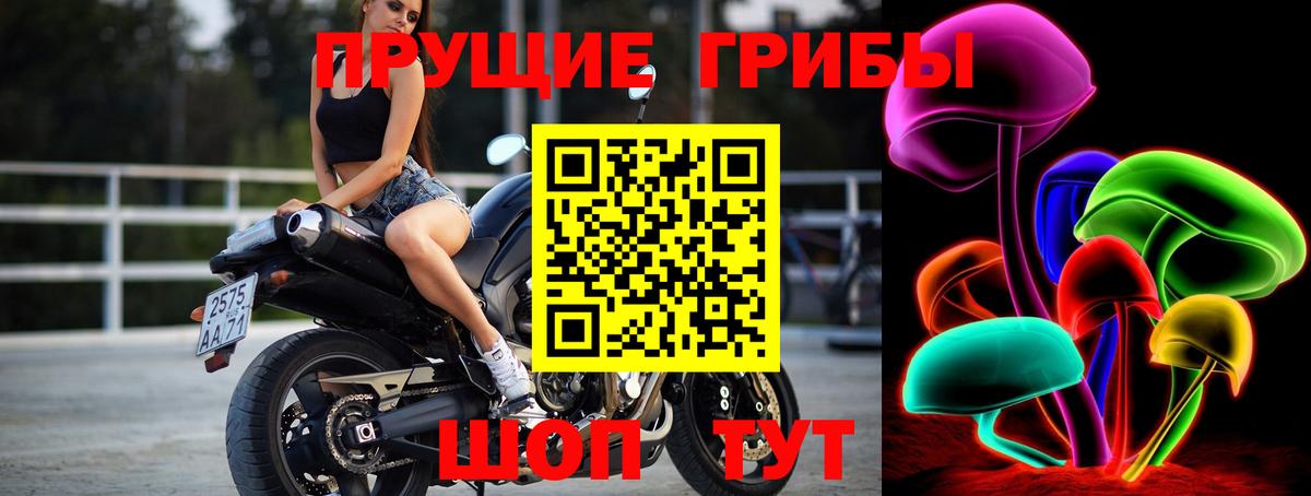 Псилоцибиновые грибы мицелий  Вход с VPN  Галлюциногенные грибы Cubensis  Ростов Великий 